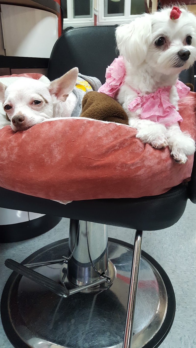 A J Beauty Salon, beauty salon in Newport News, VA, photo 4 of 10
